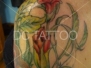 Cover Up 10